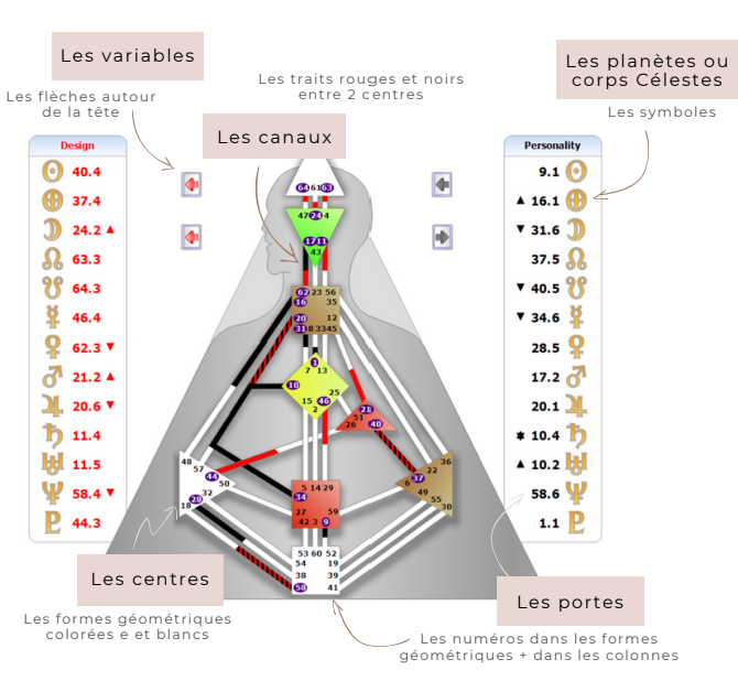 Capture écran d'un schéma corporel légendé