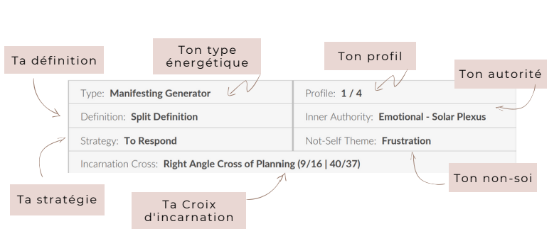 Capture écran d'informations principales du schéma corporel en Human Design